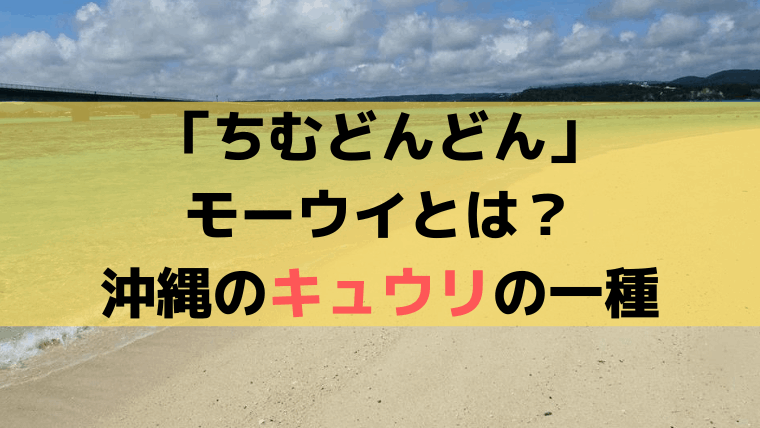 「ちむどんどん」モーウイとは？沖縄のキュウリの一種、茶色で太い