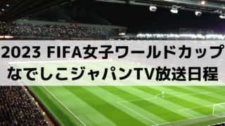 なでしこジャパンTV放送日程は？NHK総合/BS1女子ワールドカップ日本戦