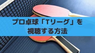 プロ卓球「ノジマTリーグ」2024を見る方法、早田ひな/平野美宇/張本美和/張本智和出場予定