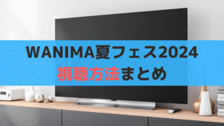 ワニマ夏フェス視聴方法「WANIMA presents 1CHANCE FESTIVAL 2024」スカパー初月無料