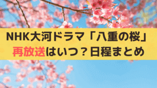 「八重の桜」NHK・BS(BSP4K)再放送はいつ？放送日程・時間まとめ