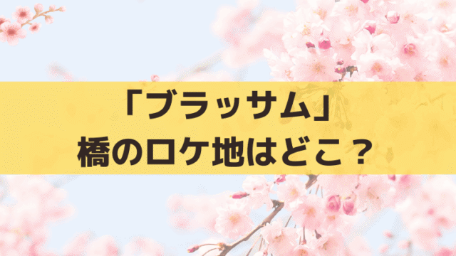 「ブラッサム」橋のロケ地はどこ？岩国・錦帯橋の撮影場所と宇野千代との関係