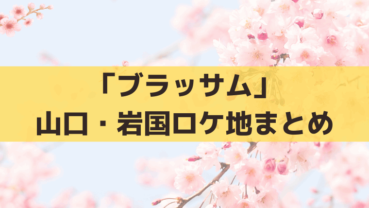 「ブラッサム」山口・岩国ロケ地まとめ｜錦帯橋・SLやまぐち号と宇野千代ゆかりの地