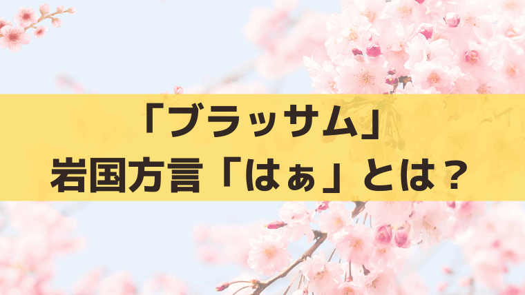 「ブラッサム」岩国方言「はぁ」とは？意味は「もう」｜珠と梅のセリフを解説