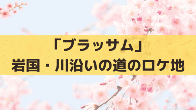 「ブラッサム」川沿いのロケ地はどこ？珠と梅の帰り道・守が喧嘩した道は滋賀・野洲川