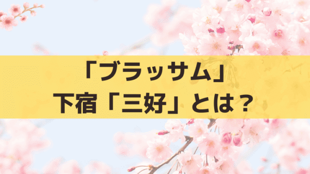 「ブラッサム」下宿「三好」の大家と娘は誰？赤堀雅秋・中村優子｜宇野千代の下宿先の史実