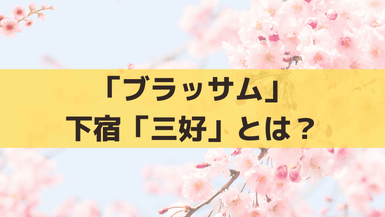 「ブラッサム」下宿「三好」の大家と娘は誰？赤堀雅秋・中村優子｜宇野千代の下宿先の史実