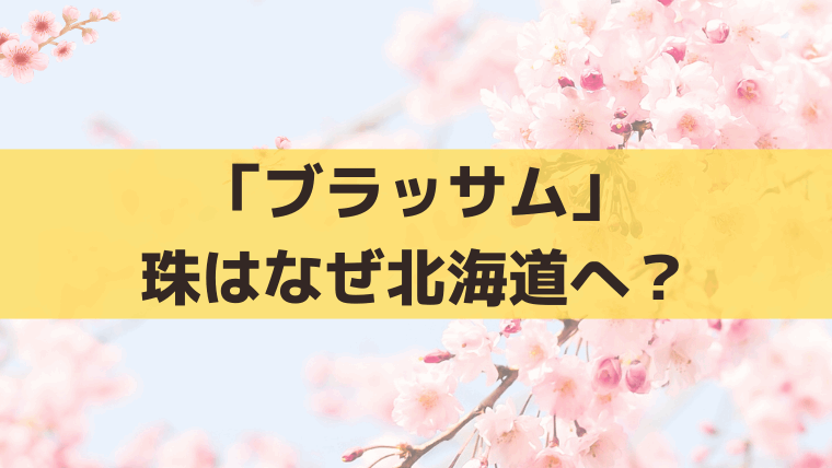 「ブラッサム」珠と保はなぜ北海道・札幌へ？宇野千代も移住した史実と小説家デビュー